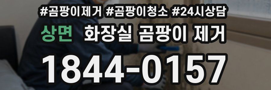 상면 화장실 곰팡이 제거