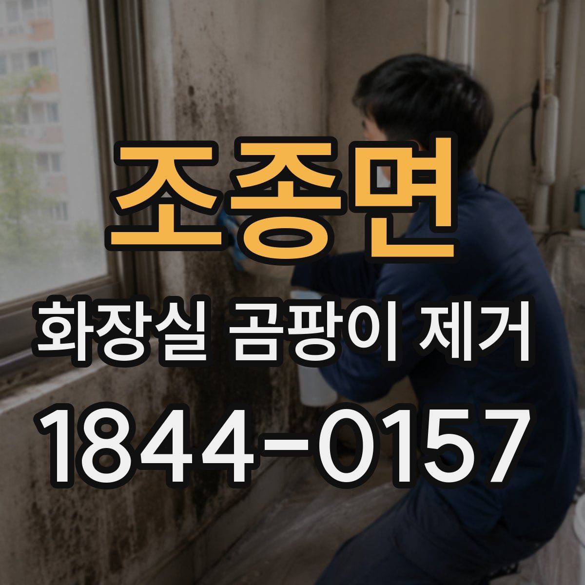조종면 화장실 곰팡이 제거
