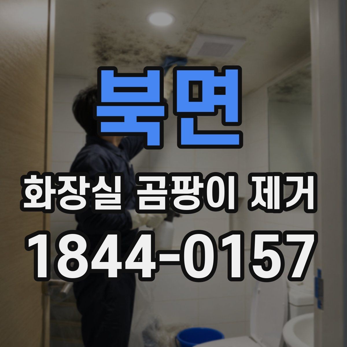 북면 화장실 곰팡이 제거 전에 실리콘 교체 신호를 살피는 기준
