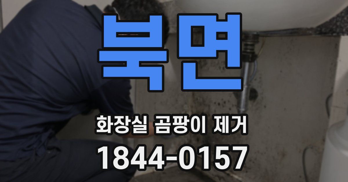 북면 화장실 곰팡이 제거