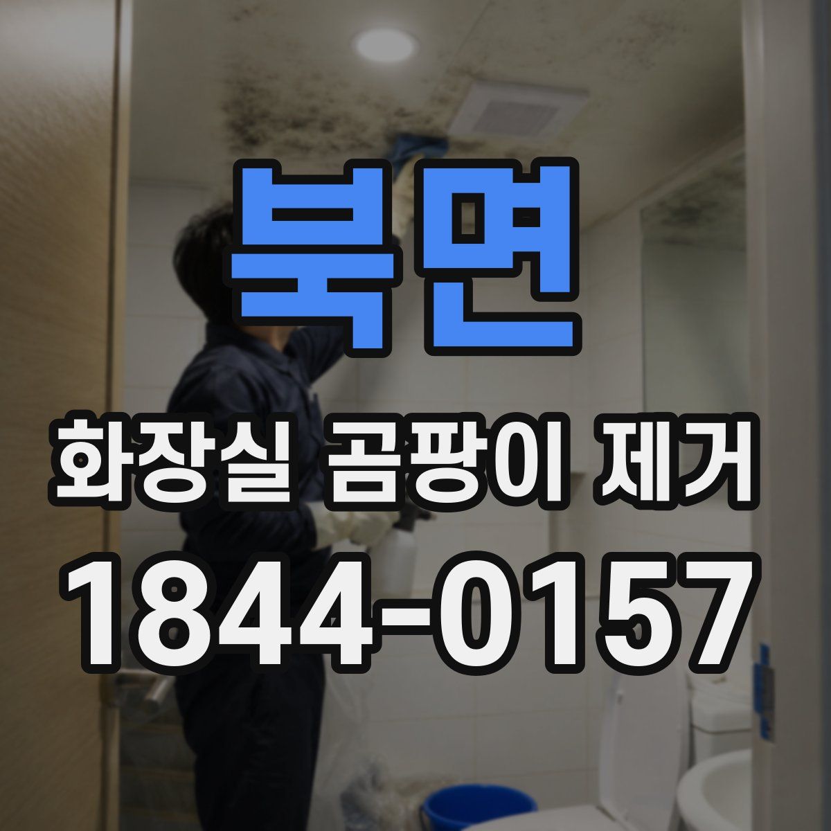 북면 화장실 곰팡이 제거