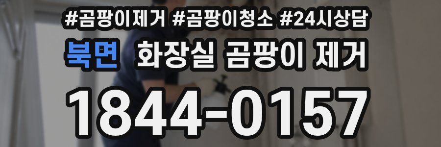 북면 화장실 곰팡이 제거