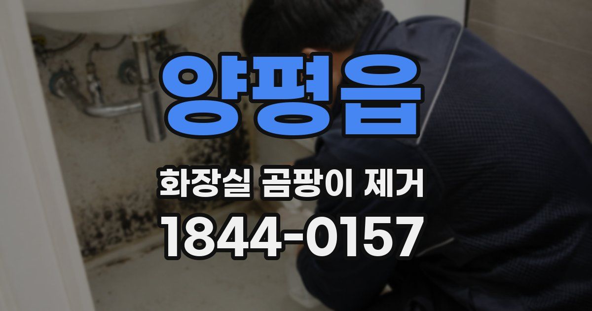 양평읍 화장실 곰팡이 제거