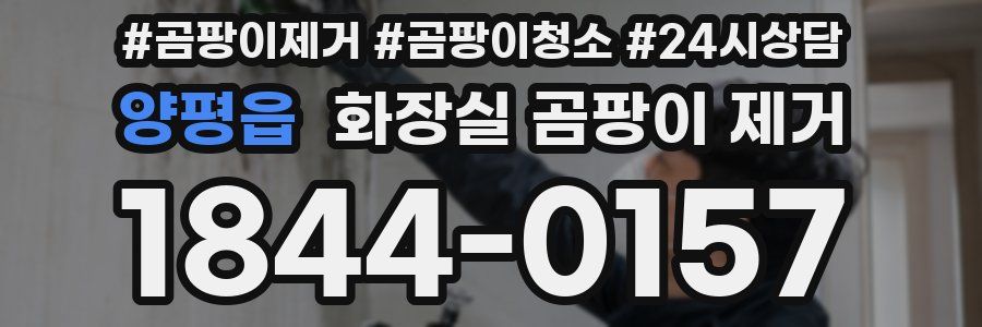 양평읍 화장실 곰팡이 제거