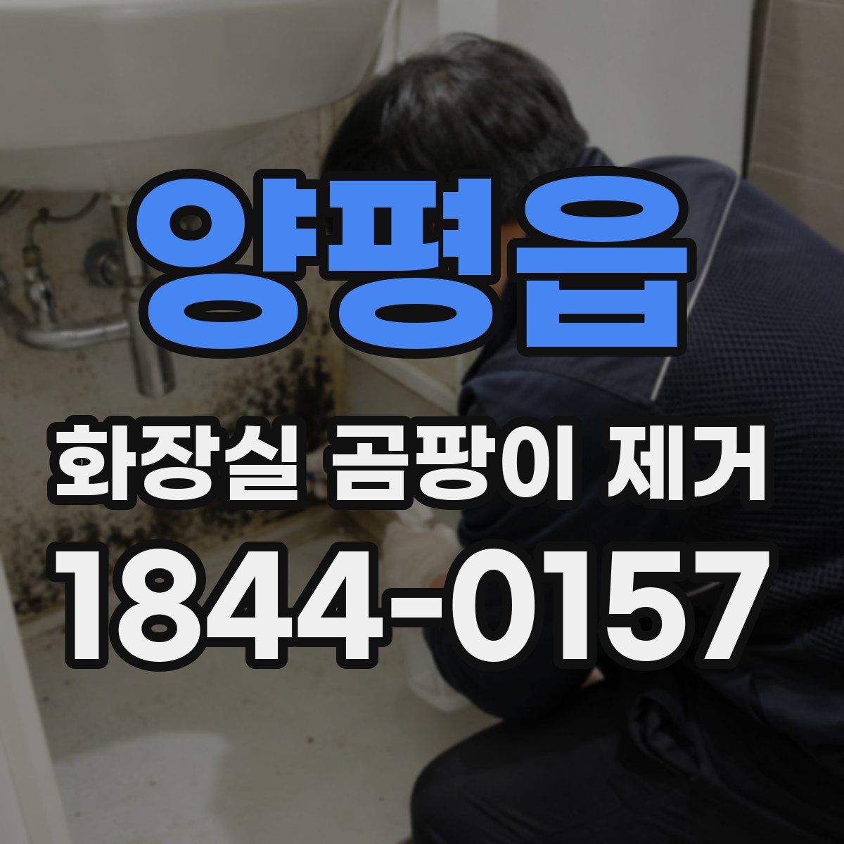 양평읍 화장실 곰팡이 제거
