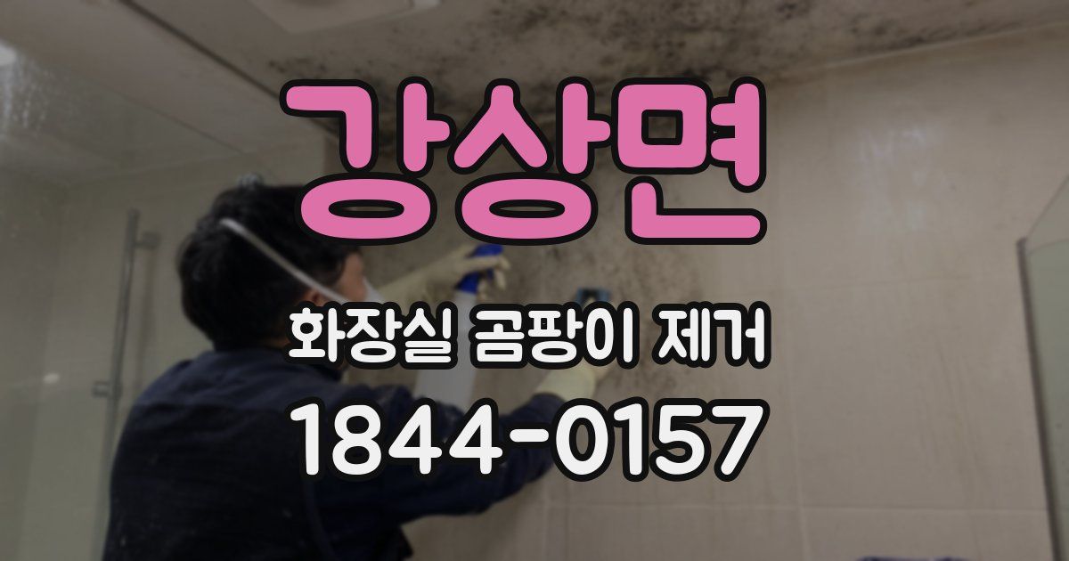 강상면 화장실 곰팡이 제거