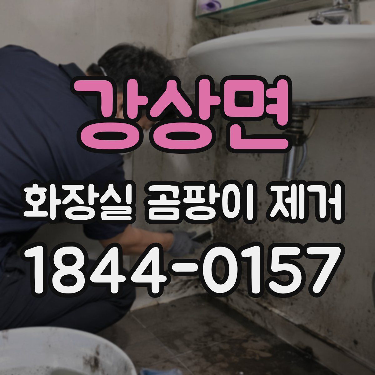 강상면 화장실 곰팡이 제거