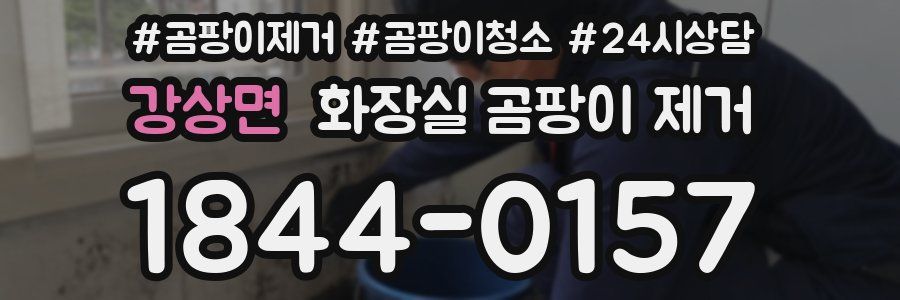 강상면 화장실 곰팡이 제거