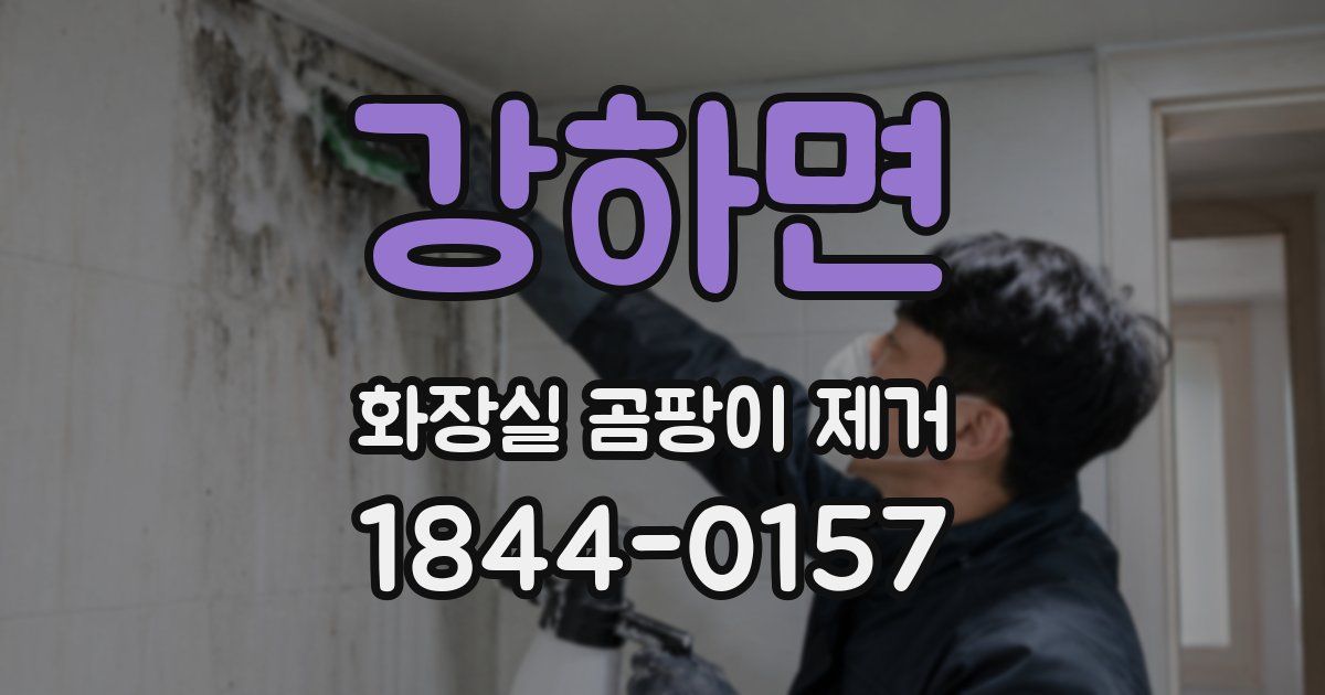 강하면 화장실 곰팡이 제거