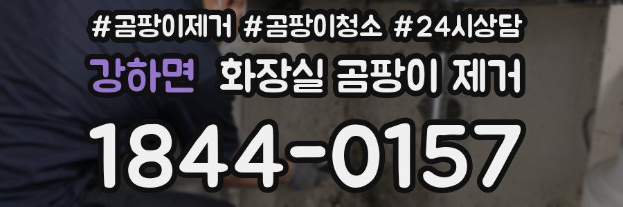 강하면 화장실 곰팡이 제거
