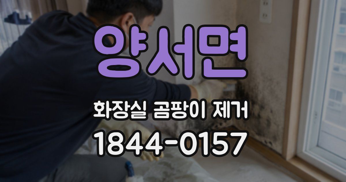 양서면 화장실 곰팡이 제거