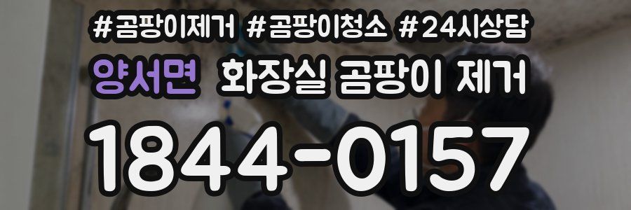 양서면 화장실 곰팡이 제거