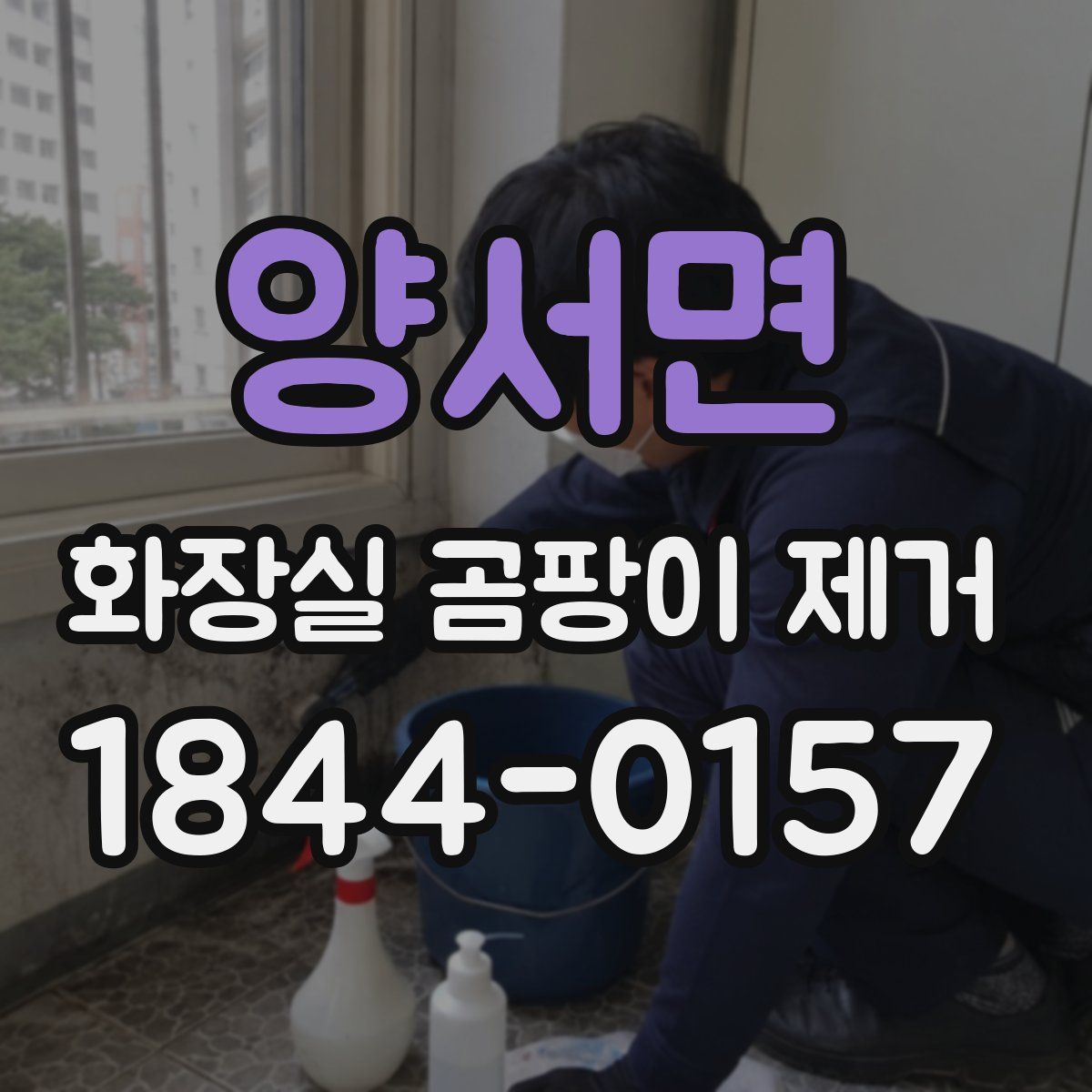 양서면 화장실 곰팡이 제거
