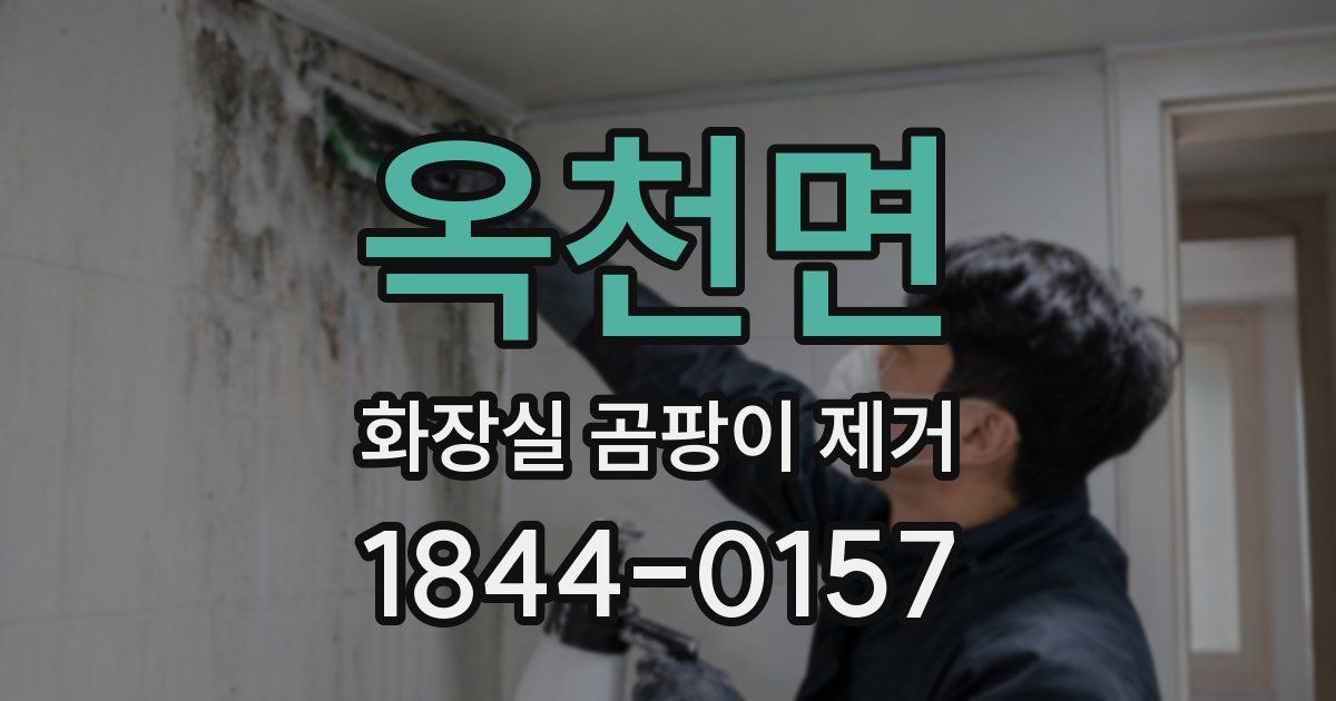 옥천면 화장실 곰팡이 제거