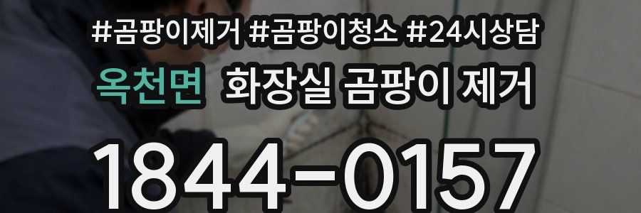 옥천면 화장실 곰팡이 제거