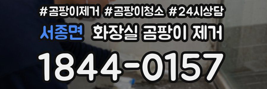 서종면 화장실 곰팡이 제거