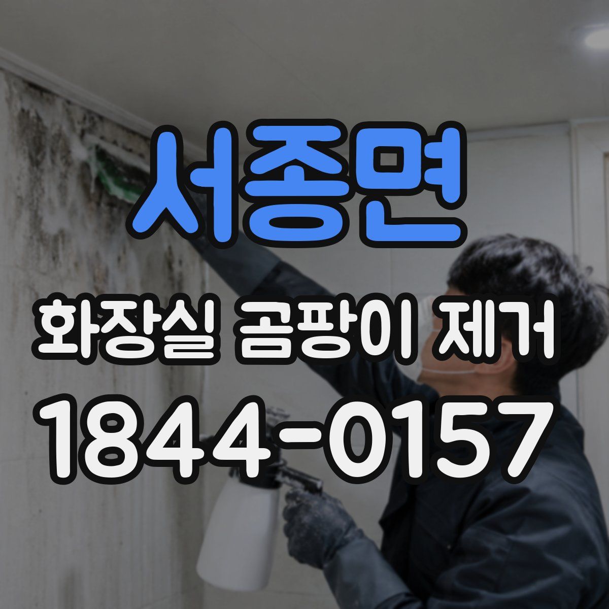 서종면 화장실 곰팡이 제거