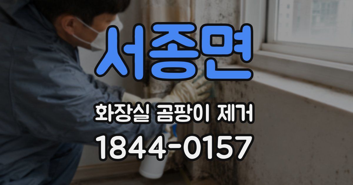 서종면 화장실 곰팡이 제거