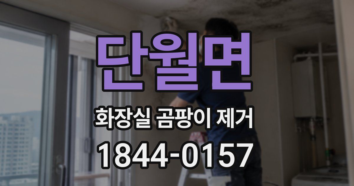 단월면 화장실 곰팡이 제거