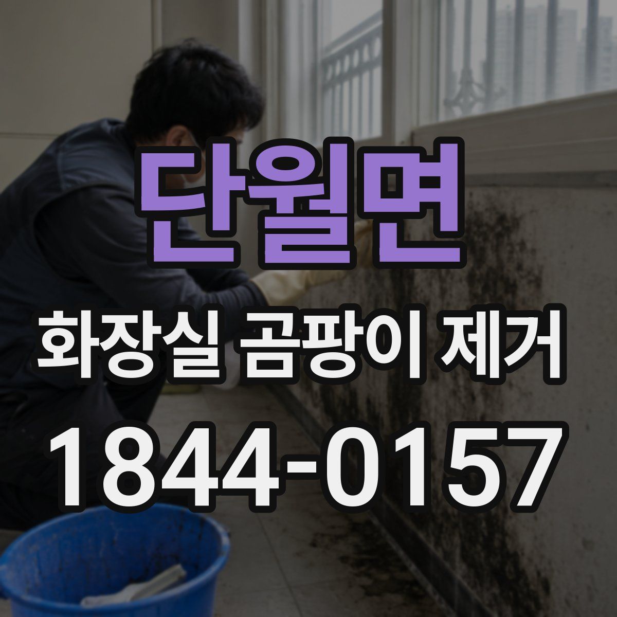 단월면 화장실 곰팡이 제거
