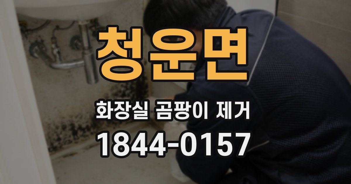 청운면 화장실 곰팡이 제거