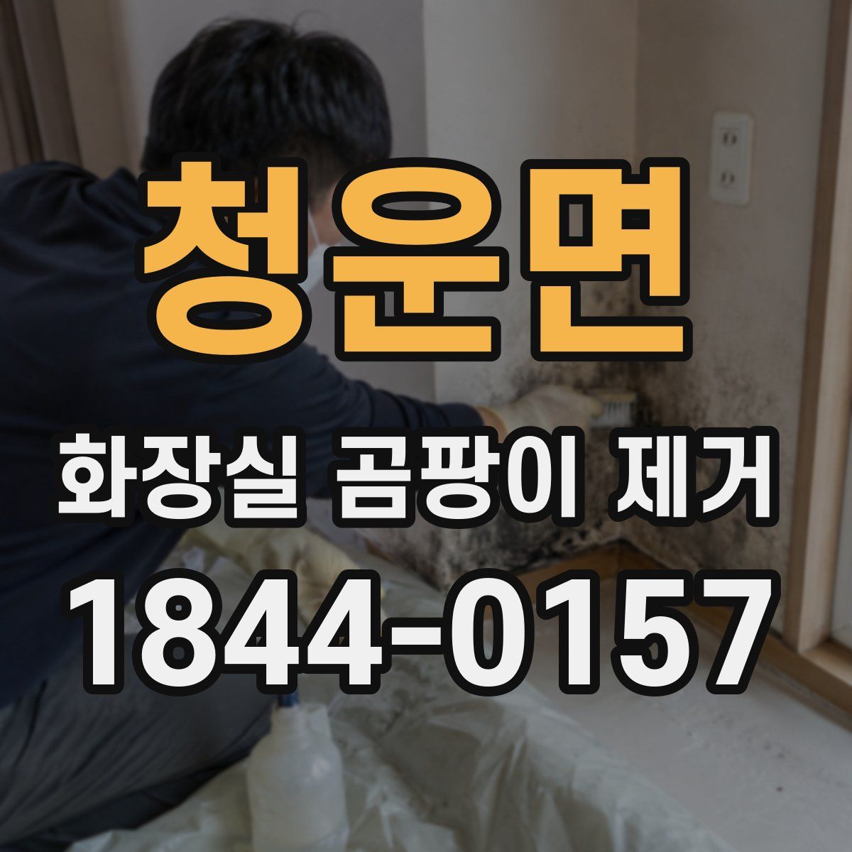 청운면 화장실 곰팡이 제거