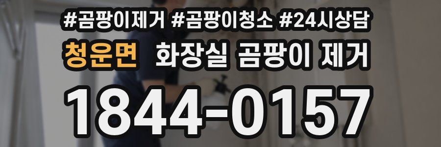 청운면 화장실 곰팡이 제거