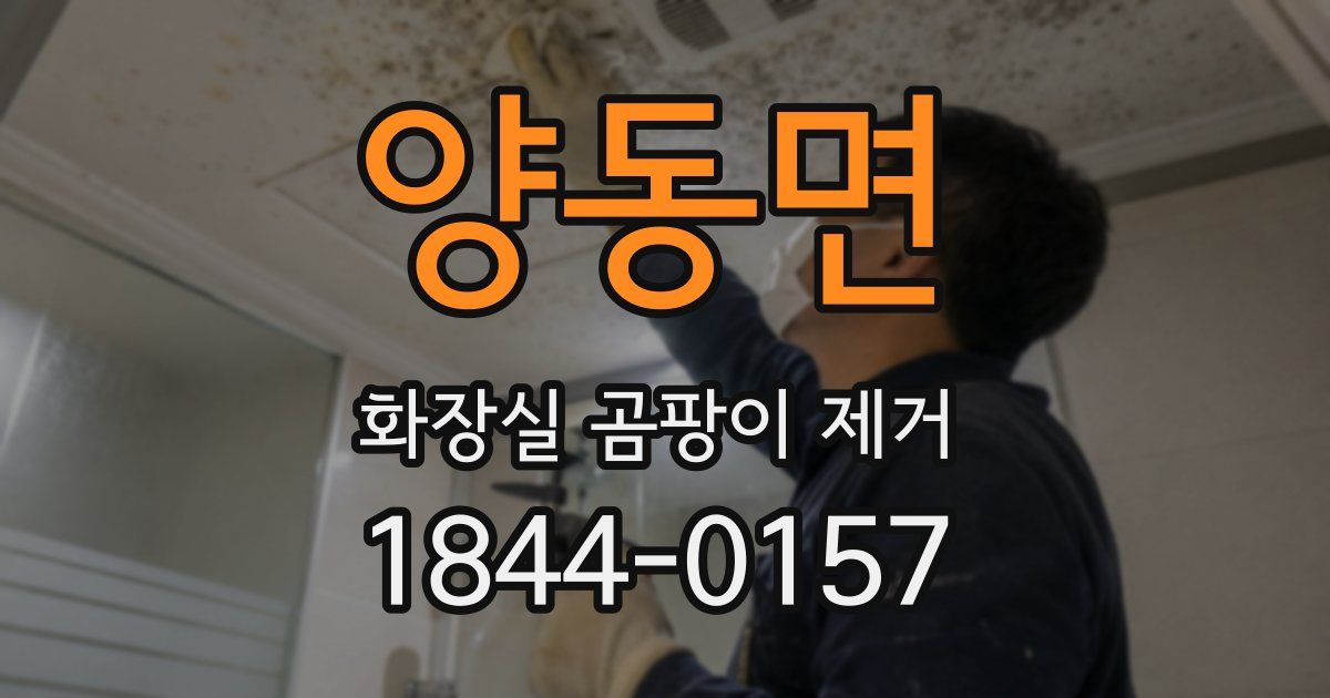 양동면 화장실 곰팡이 제거