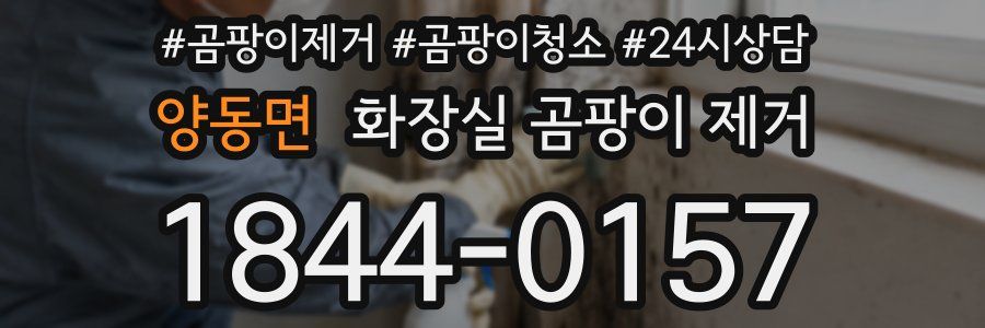양동면 화장실 곰팡이 제거