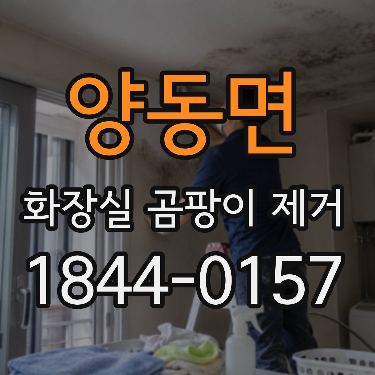 양동면 화장실 곰팡이 제거