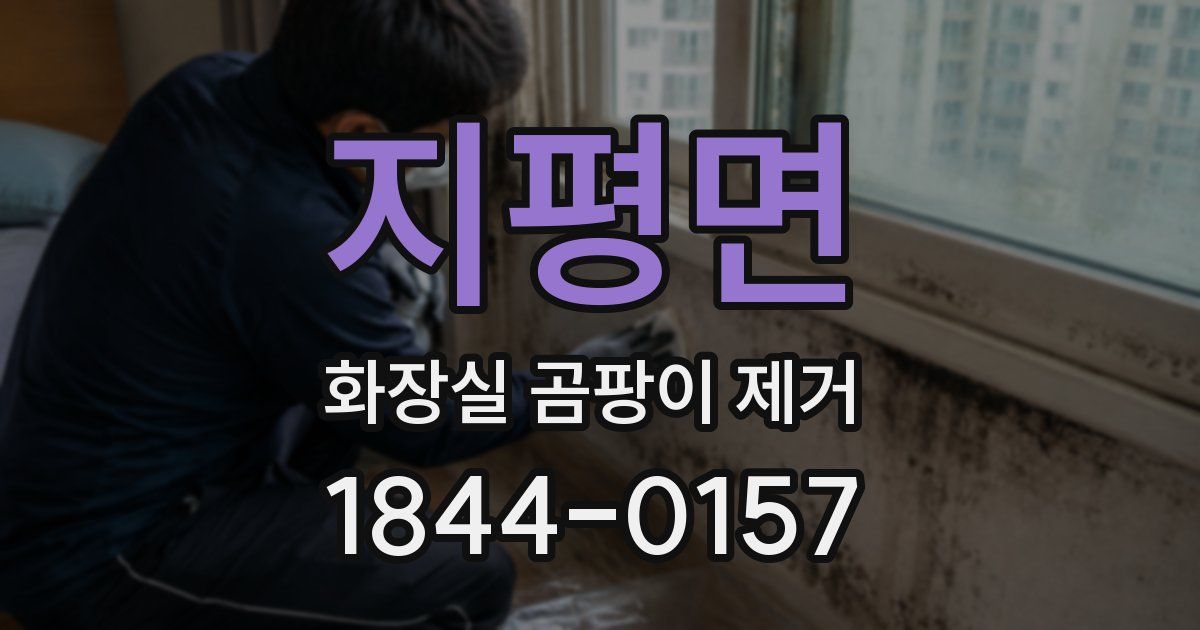 지평면 화장실 곰팡이 제거