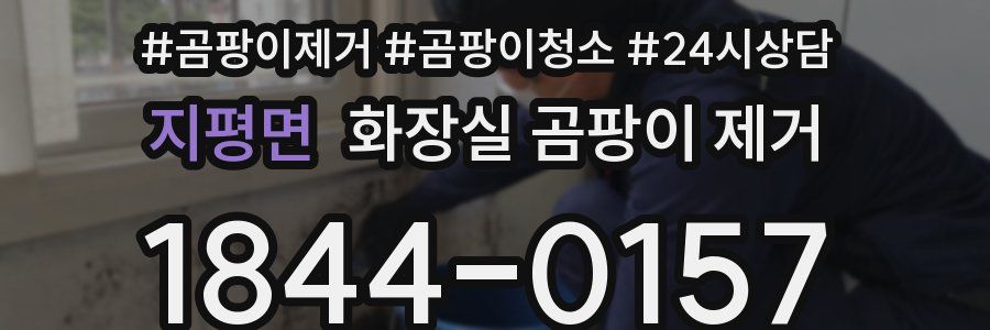 지평면 화장실 곰팡이 제거