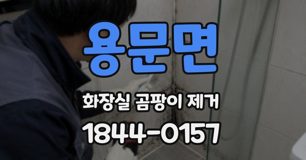 용문면 화장실 곰팡이 제거