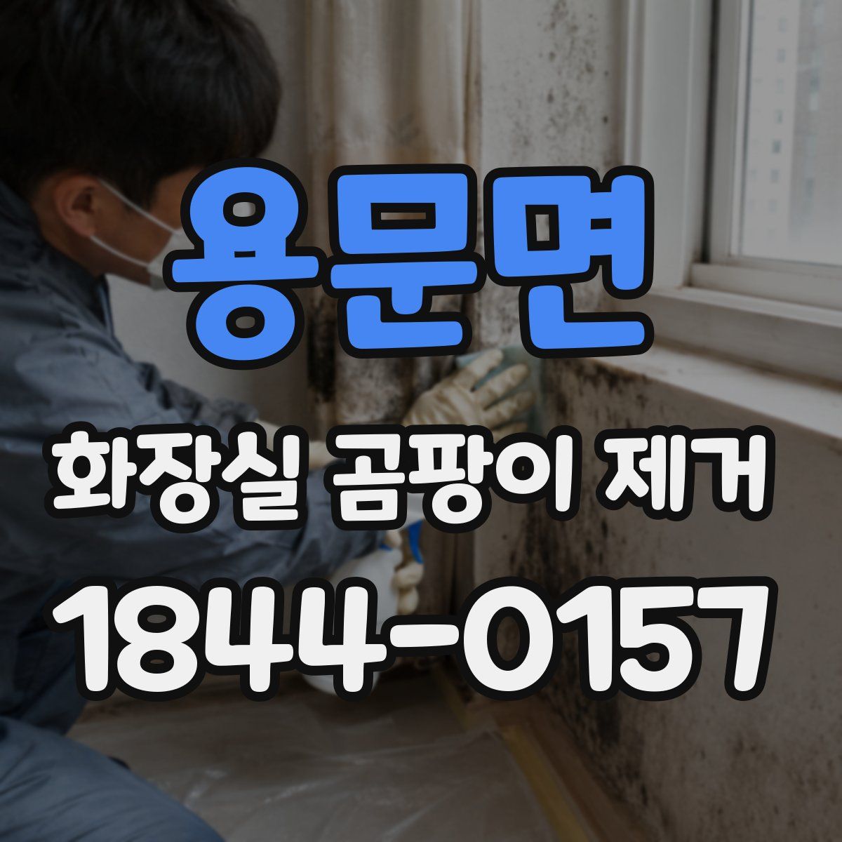 용문면 화장실 곰팡이 제거