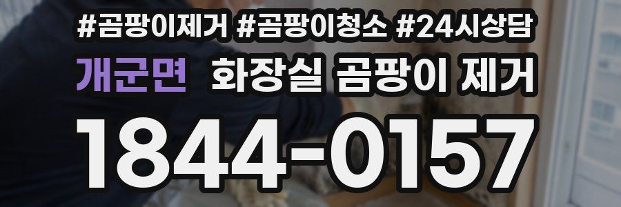 개군면 화장실 곰팡이 제거