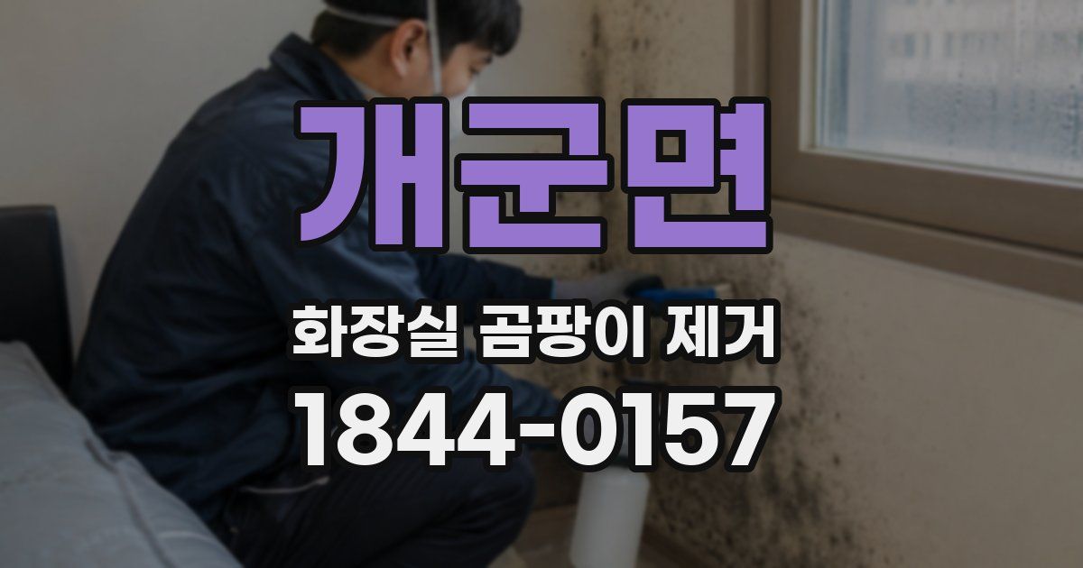 개군면 화장실 곰팡이 제거