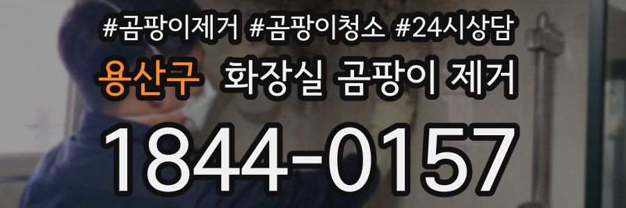 용산구 화장실 곰팡이 제거