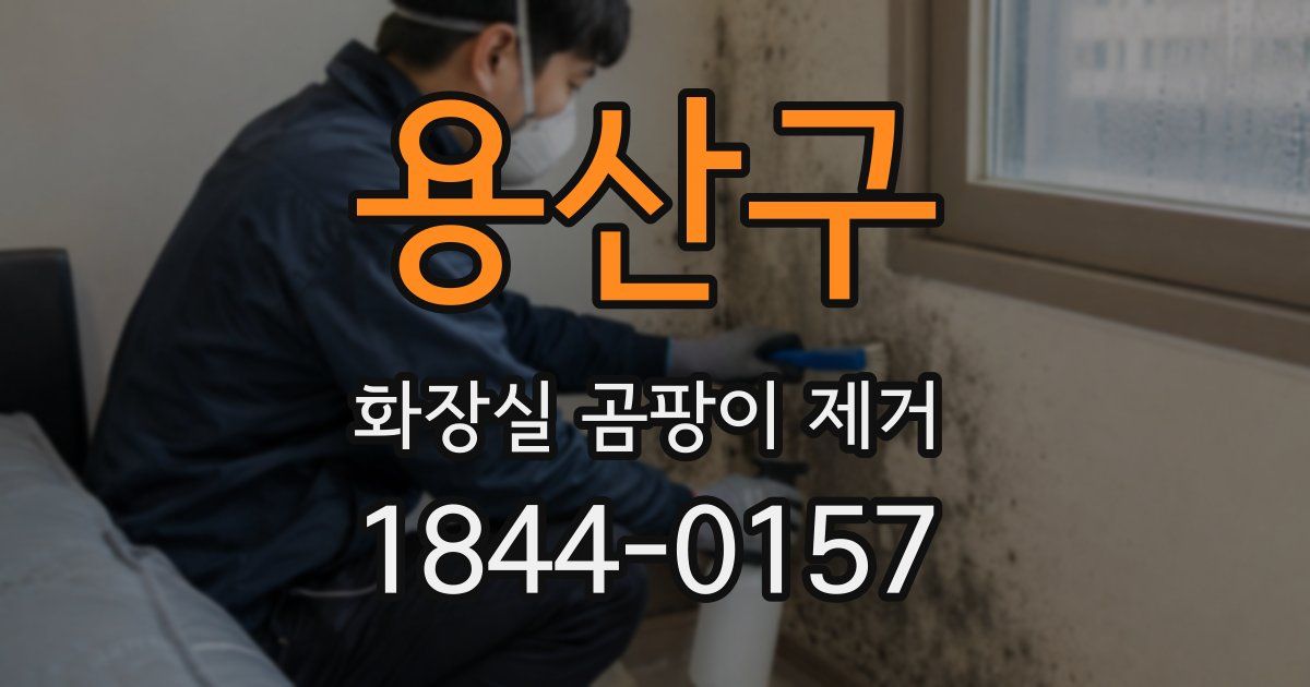 용산구 화장실 곰팡이 제거