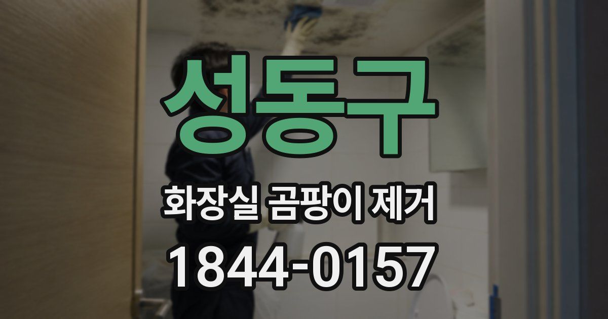 성동구 화장실 곰팡이 제거