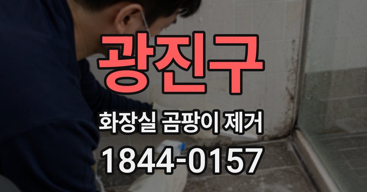 광진구 화장실 곰팡이 제거