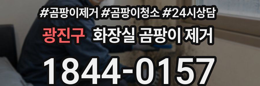 광진구 화장실 곰팡이 제거