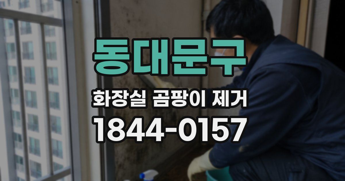 동대문구 화장실 곰팡이 제거