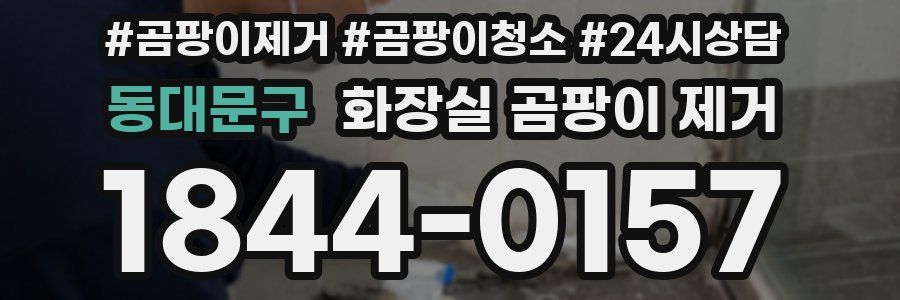 동대문구 화장실 곰팡이 제거
