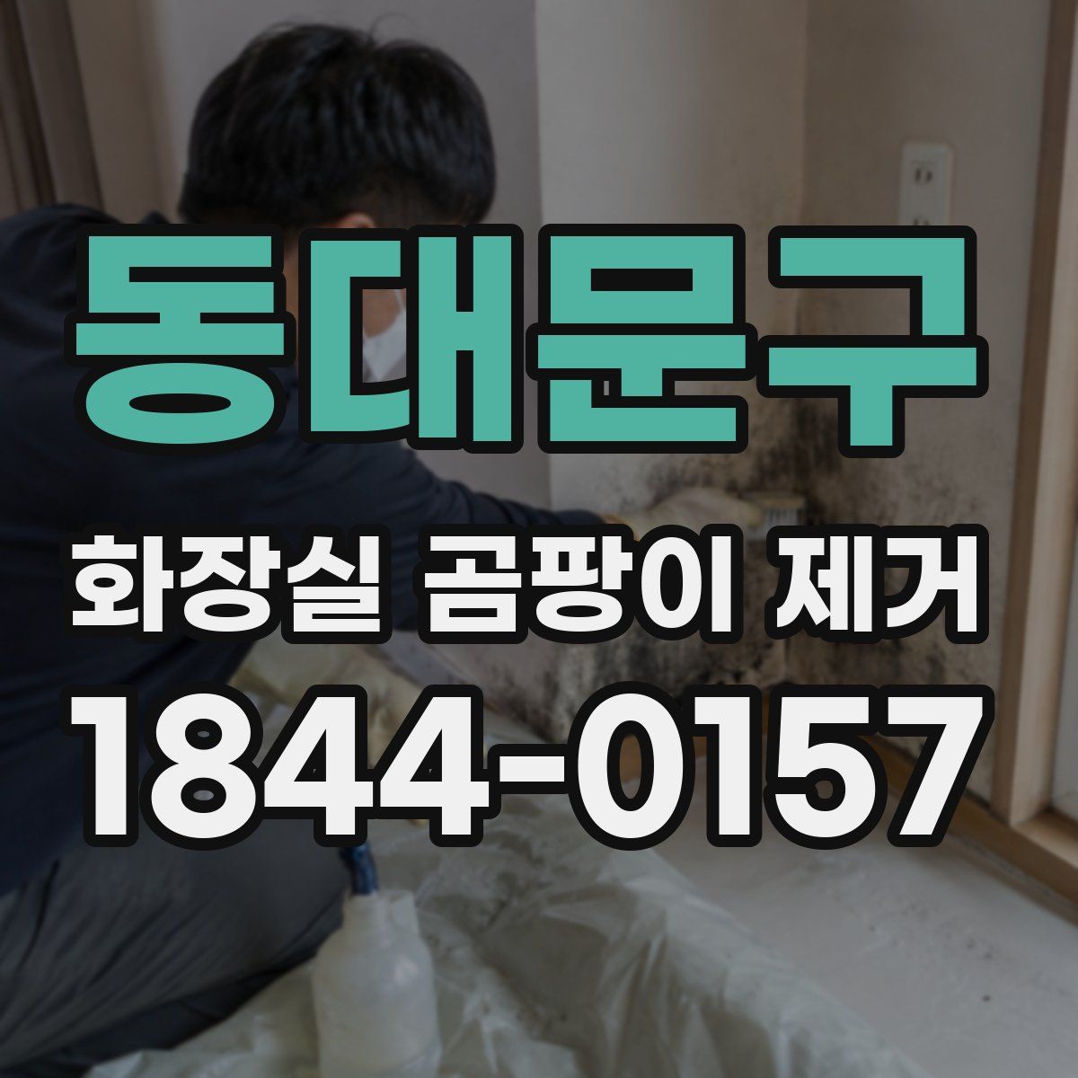 동대문구 화장실 곰팡이 제거