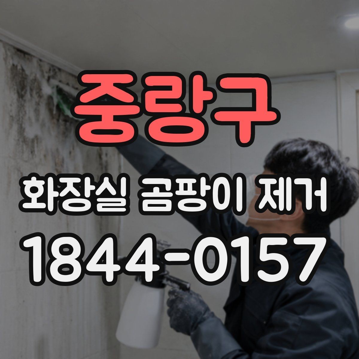 중랑구 화장실 곰팡이 제거 청소와 예방을 함께 보는 욕실 관리법