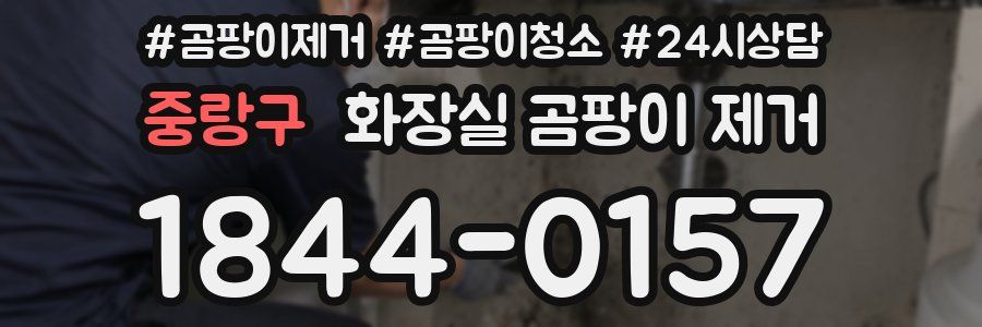 중랑구 화장실 곰팡이 제거