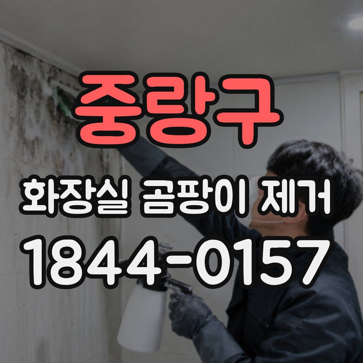 중랑구 화장실 곰팡이 제거