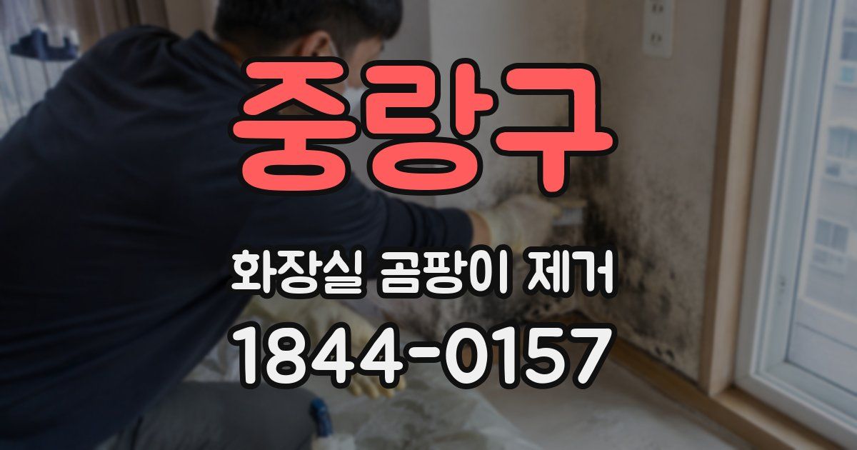 중랑구 화장실 곰팡이 제거