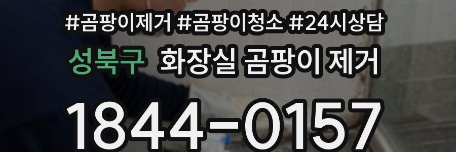 성북구 화장실 곰팡이 제거
