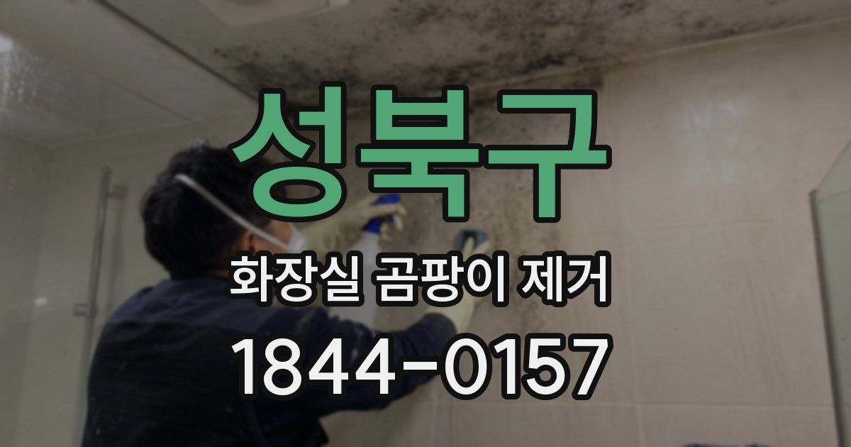 성북구 화장실 곰팡이 제거